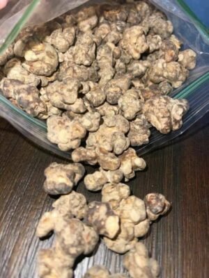 Buy Magic Mushrooms Canada